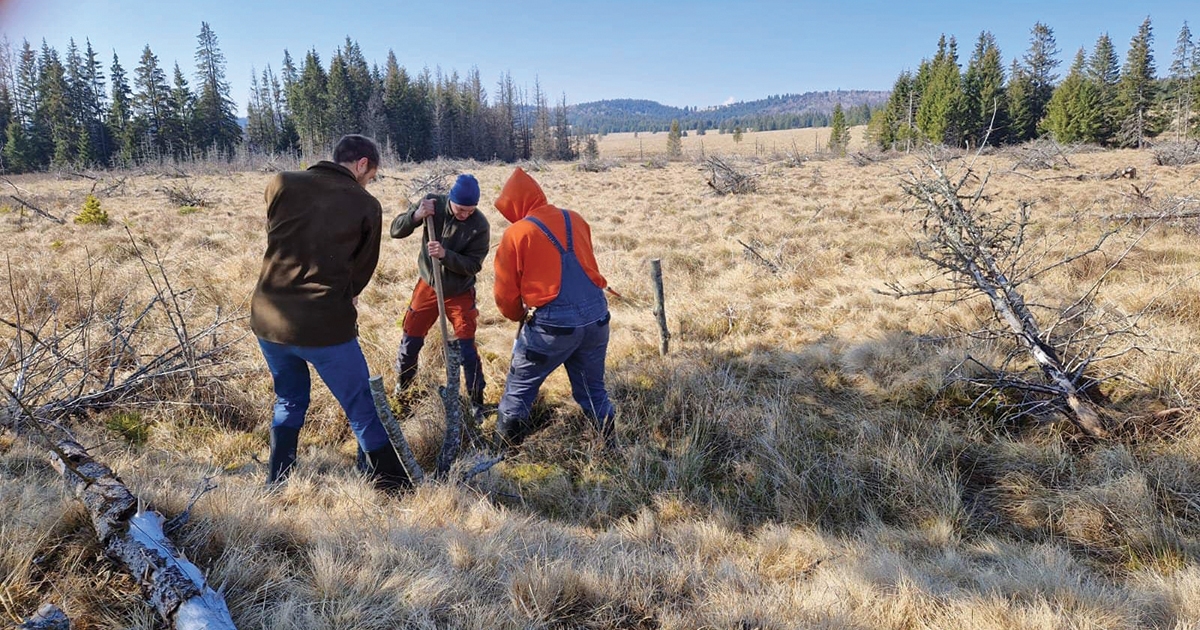 Megmentik a vizes élőhelyeket